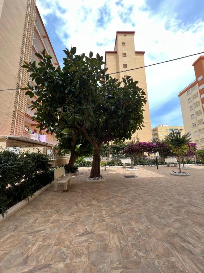 Ap Cande Playa De Gandia Екстериор снимка