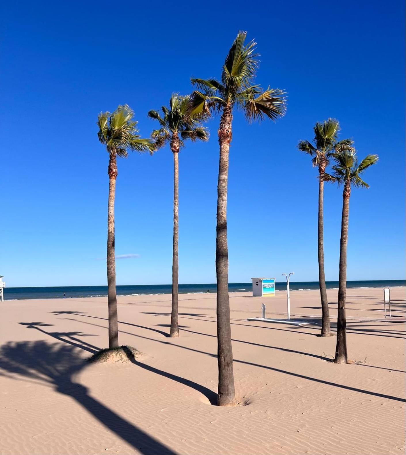 Ap Cande Playa De Gandia Екстериор снимка